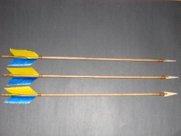 Blue and Gold Arrows